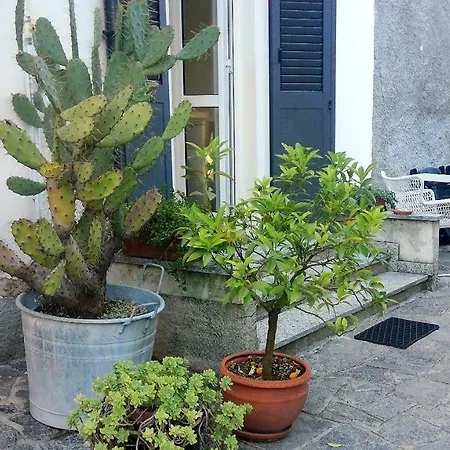Holiday home All'ombra Dei Tassi Mandello del Lario